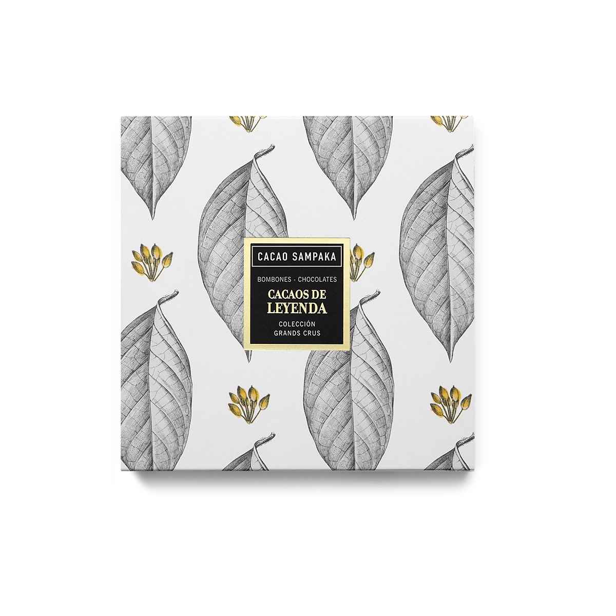 Cacao Sampaka