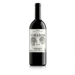 CIRSION_2010 square
